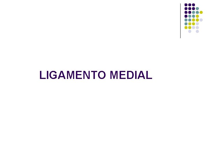 LIGAMENTO MEDIAL 