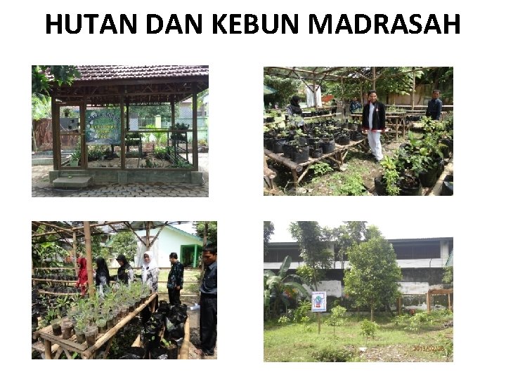 HUTAN DAN KEBUN MADRASAH 