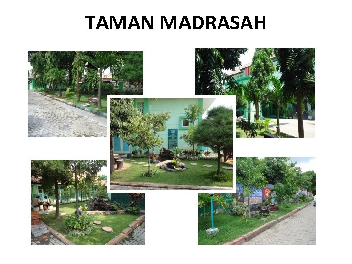 TAMAN MADRASAH 