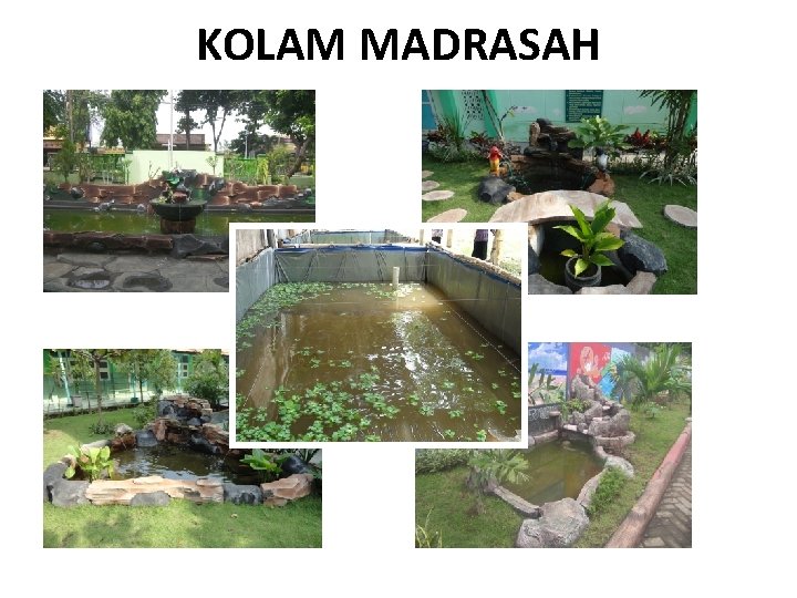 KOLAM MADRASAH 