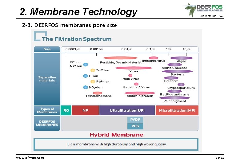 2. Membrane Technology ver. DFM-DP-17. 2 2 -3. DEERFOS membranes pore size www. dfmem.