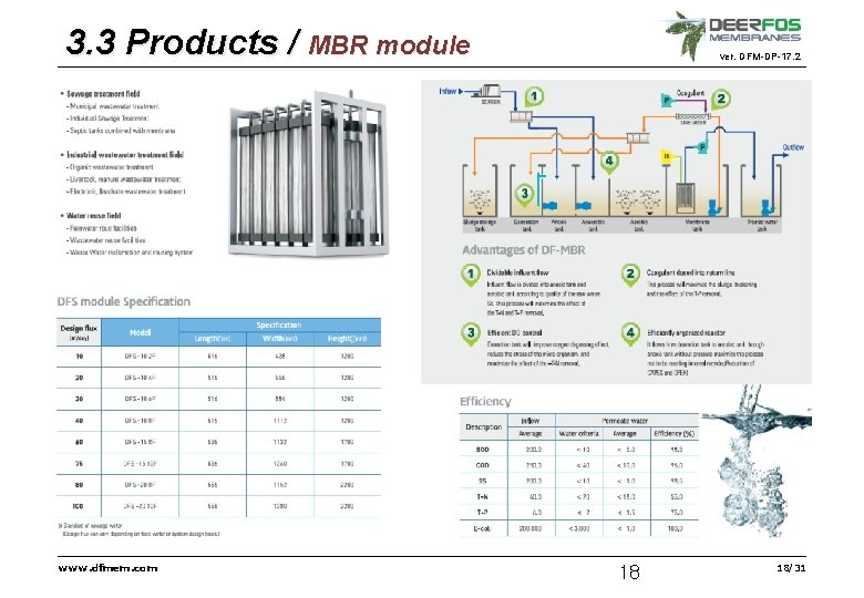 3. 3 Products / MBR module www. dfmem. com ver. DFM-DP-17. 2 18 18/31