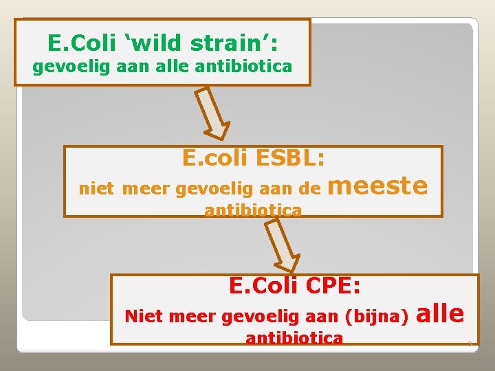 E. Coli ‘wild strain’: gevoelig aan alle antibiotica E. coli ESBL: niet meer gevoelig