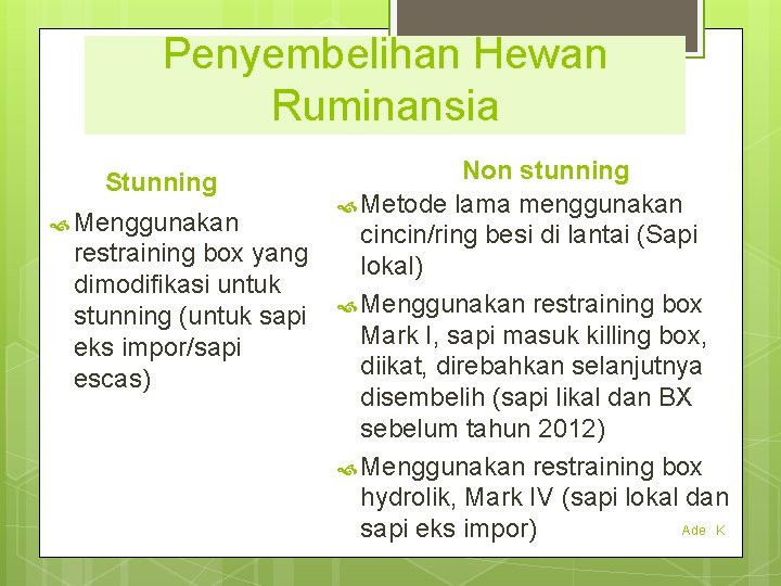 Penyembelihan Hewan Ruminansia Stunning Menggunakan restraining box yang dimodifikasi untuk stunning (untuk sapi eks