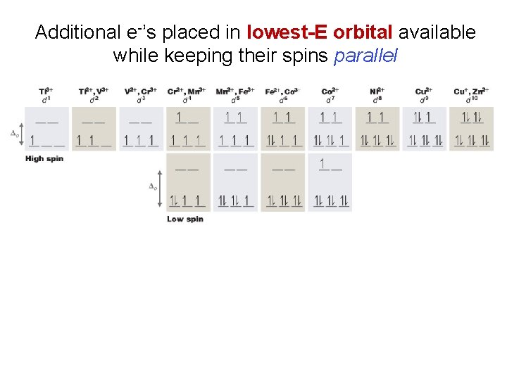 Additional e-’s placed in lowest-E orbital available while keeping their spins parallel 