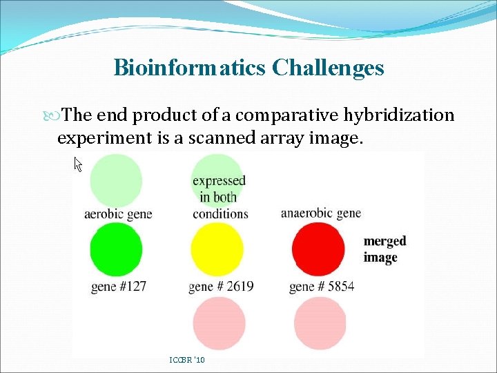 Bioinformatics Challenges The end product of a comparative hybridization experiment is a scanned array