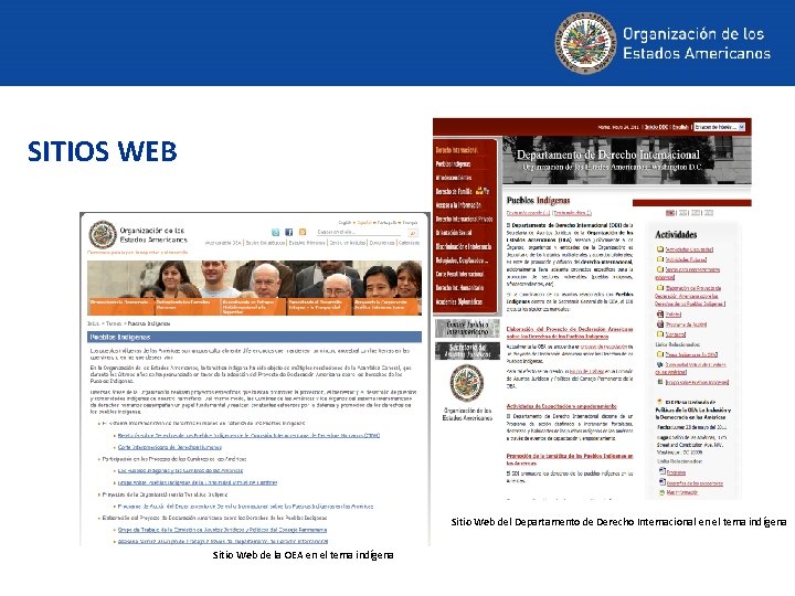 SITIOS WEB Sitio Web del Departamento de Derecho Internacional en el tema indígena Sitio