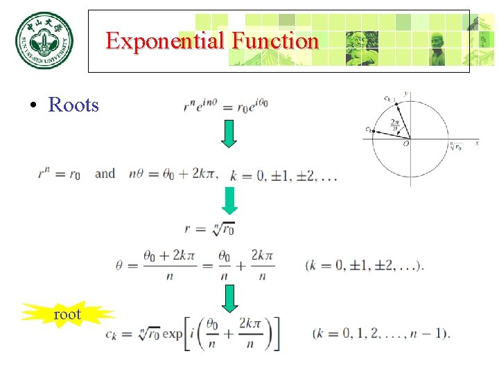 Exponential Function • Roots root 