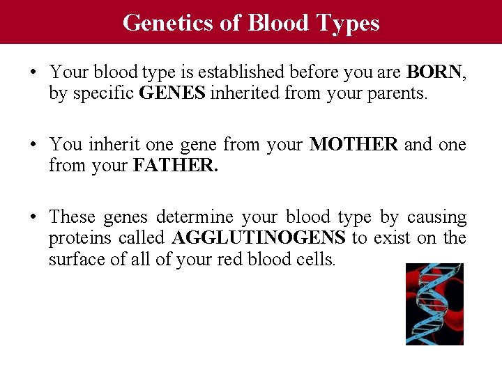 Genetics of Blood Types • Your blood type is established before you are BORN,