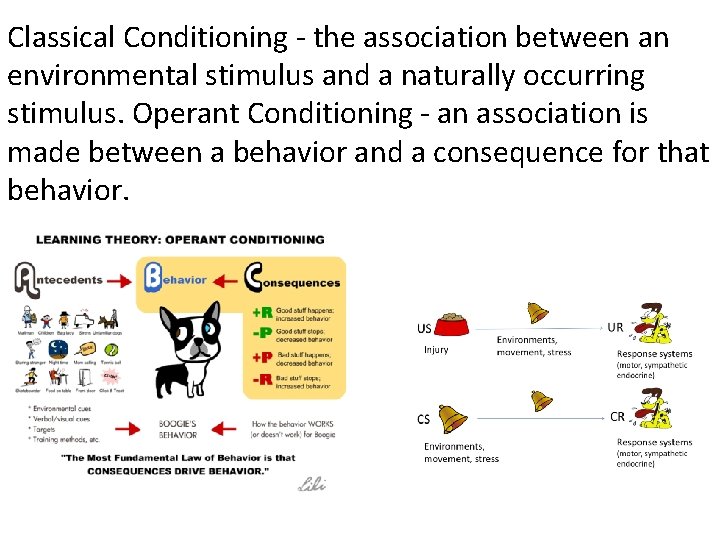 Classical Conditioning - the association between an environmental stimulus and a naturally occurring stimulus.