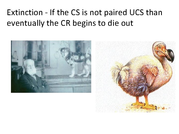 Extinction - If the CS is not paired UCS than eventually the CR begins