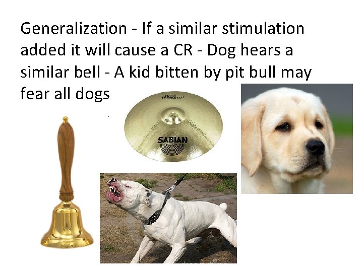 Generalization - If a similar stimulation added it will cause a CR - Dog