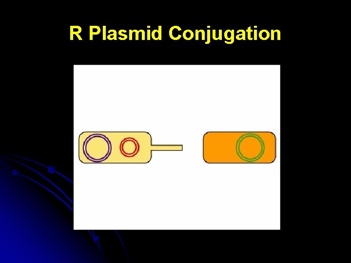 R Plasmid Conjugation 