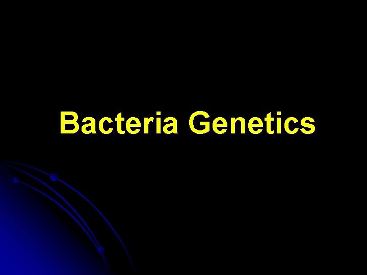 Bacteria Genetics 