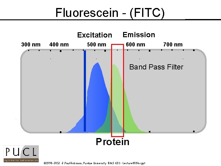 Fluorescein - (FITC) Excitation 300 nm 400 nm 500 nm Wavelength Emission 600 nm