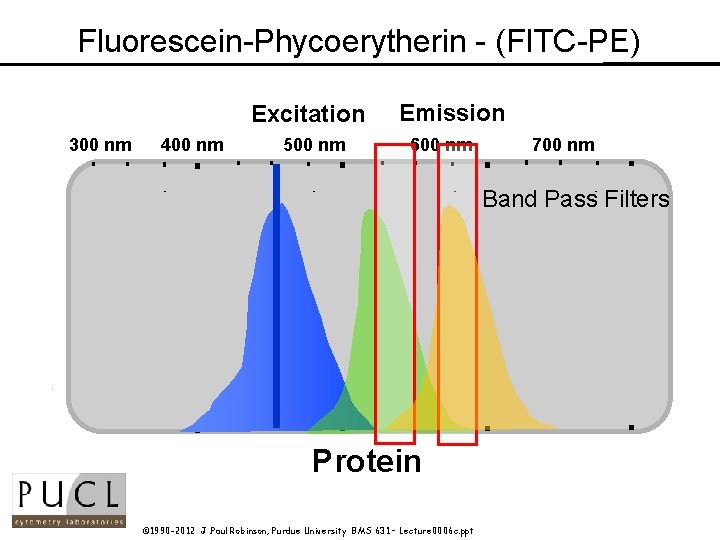 Fluorescein-Phycoerytherin - (FITC-PE) Excitation 300 nm 400 nm 500 nm Wavelength Emission 600 nm