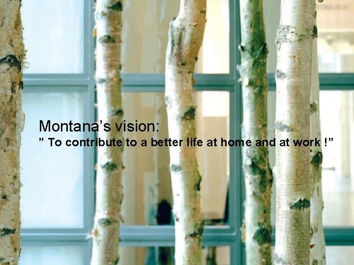 Montana’s vision: ” To contribute to a better life at home and at work