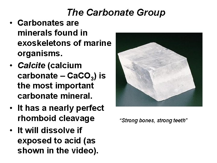 The Carbonate Group • Carbonates are minerals found in exoskeletons of marine organisms. •