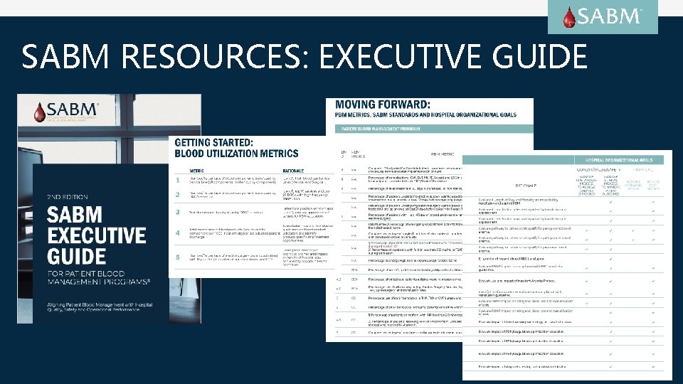 SABM RESOURCES: EXECUTIVE GUIDE 