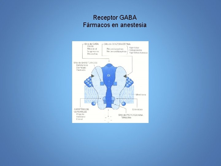 Receptor GABA Fármacos en anestesia 