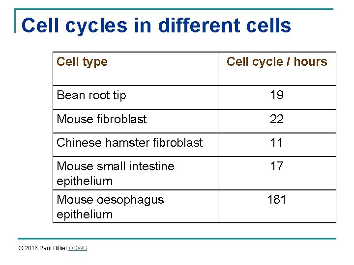 Cell cycles in different cells Cell type Cell cycle / hours Bean root tip