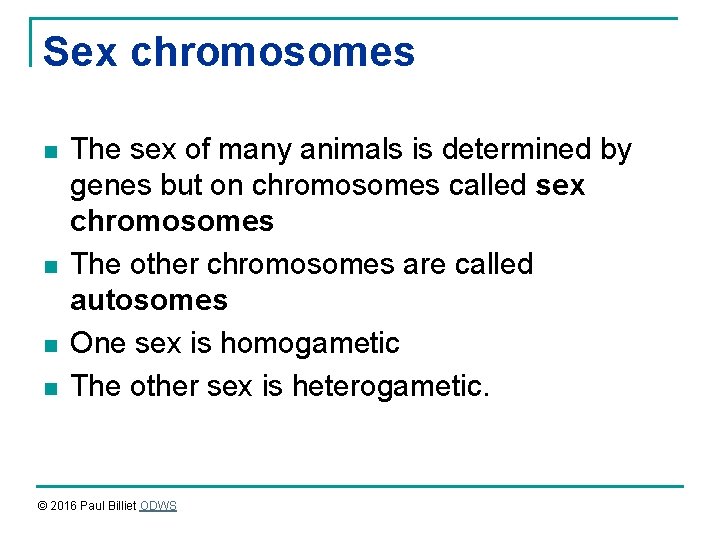 Sex chromosomes n n The sex of many animals is determined by genes but