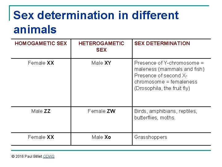 Sex determination in different animals HOMOGAMETIC SEX HETEROGAMETIC SEX Female XX Male XY Male