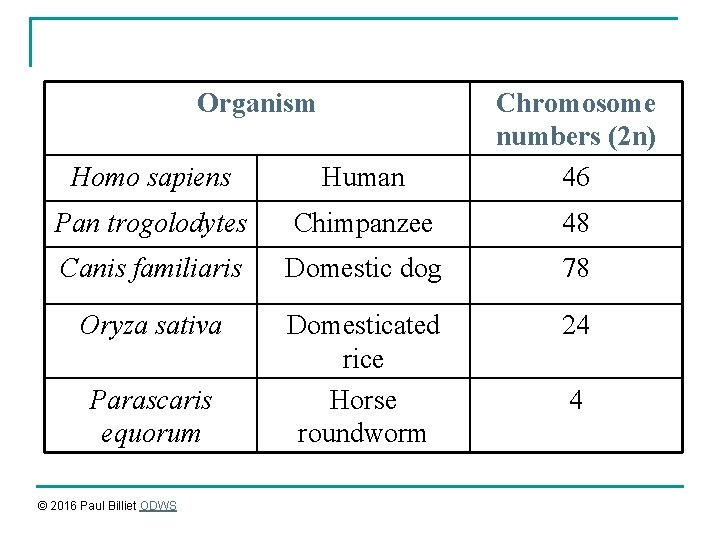 Organism Homo sapiens Human Chromosome numbers (2 n) 46 Pan trogolodytes Chimpanzee 48 Canis