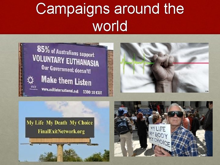 Campaigns around the world 
