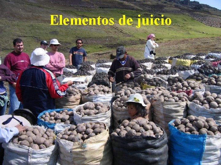 Elementos de juicio 