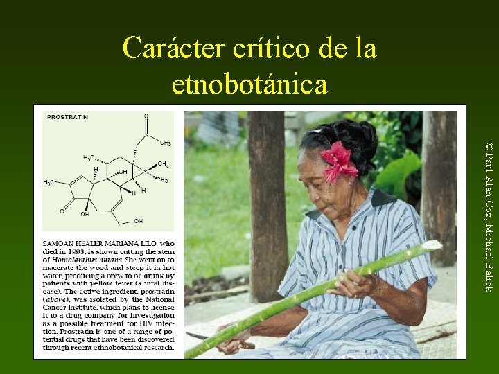 Carácter crítico de la etnobotánica © Paul Alan Cox, Michael Balick 