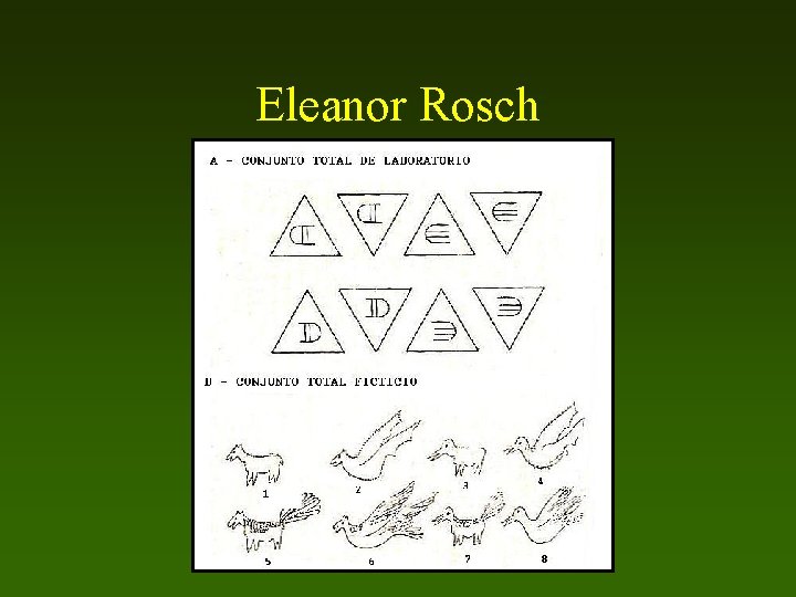 Eleanor Rosch 