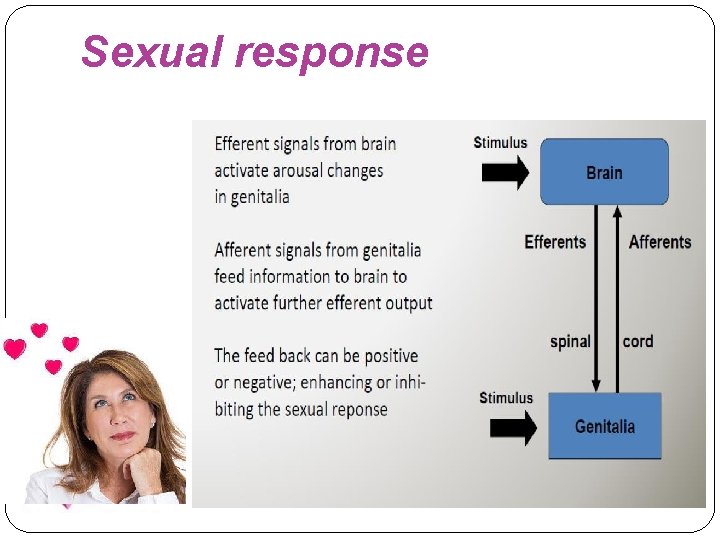 Sexual response 