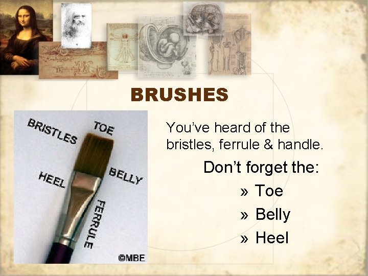 BRUSHES You’ve heard of the bristles, ferrule & handle. Don’t forget the: » Toe