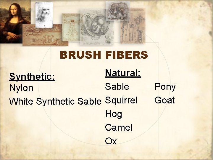 BRUSH FIBERS Natural: Synthetic: Sable Nylon White Synthetic Sable Squirrel Hog Camel Ox Pony