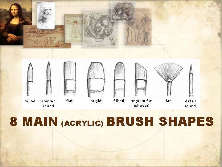 8 MAIN (ACRYLIC) BRUSH SHAPES 