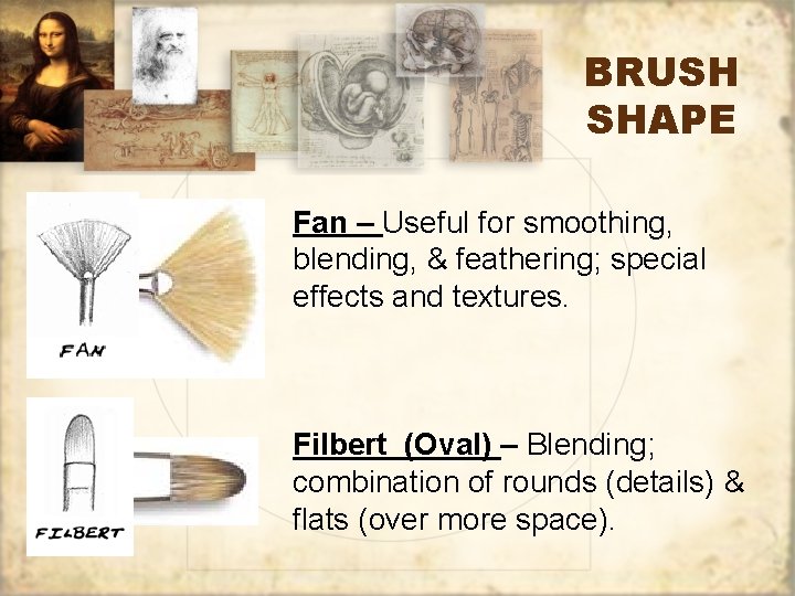 BRUSH SHAPE Fan – Useful for smoothing, blending, & feathering; special effects and textures.