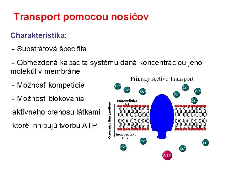 Transport pomocou nosičov Charakteristika: - Substrátová špecifita - Obmezdená kapacita systému daná koncentráciou jeho