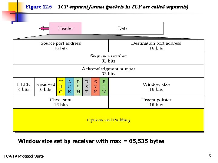 Figure 12. 5 TCP segment format (packets in TCP are called segments) Window size
