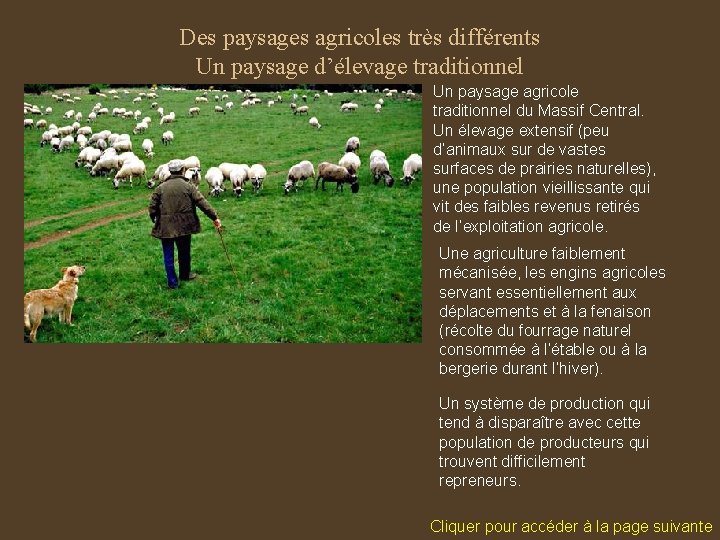 Des paysages agricoles très différents Un paysage d’élevage traditionnel Un paysage agricole traditionnel du