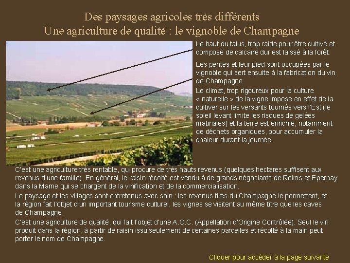 Des paysages agricoles très différents Une agriculture de qualité : le vignoble de Champagne
