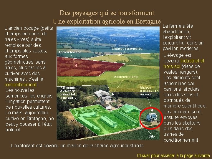 Des paysages qui se transforment Une exploitation agricole en Bretagne L’ancien bocage (petits champs