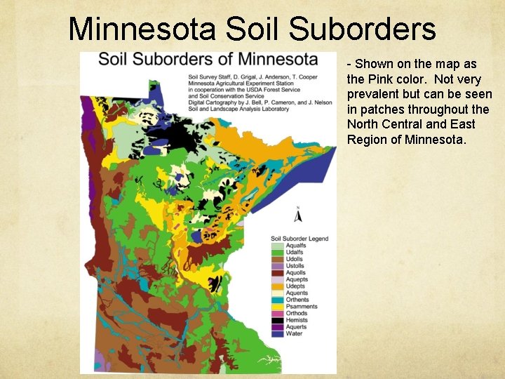 Minnesota Soil Suborders - Shown on the map as the Pink color. Not very