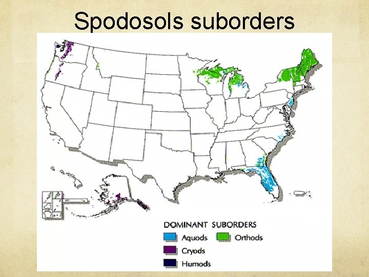 Spodosols suborders 