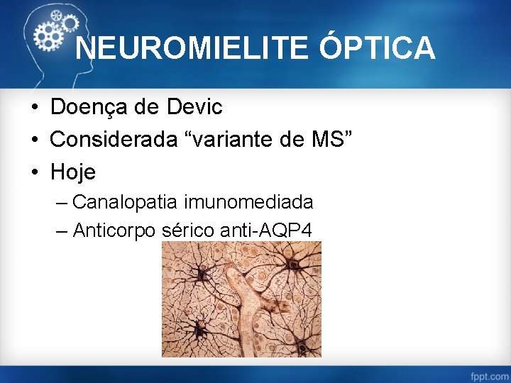 NEUROMIELITE ÓPTICA • Doença de Devic • Considerada “variante de MS” • Hoje –