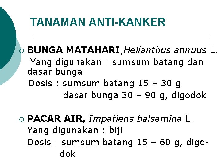 TANAMAN ANTI-KANKER ¡ ¡ BUNGA MATAHARI, Helianthus annuus L. Yang digunakan : sumsum batang