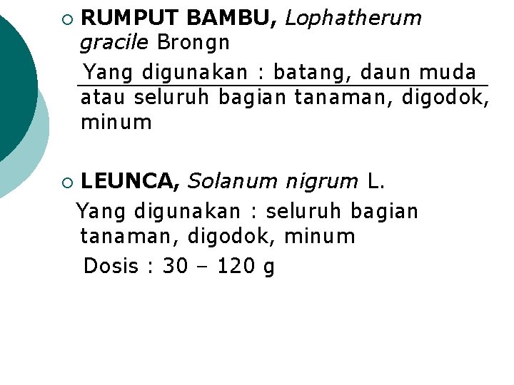 ¡ ¡ RUMPUT BAMBU, Lophatherum gracile Brongn Yang digunakan : batang, daun muda atau