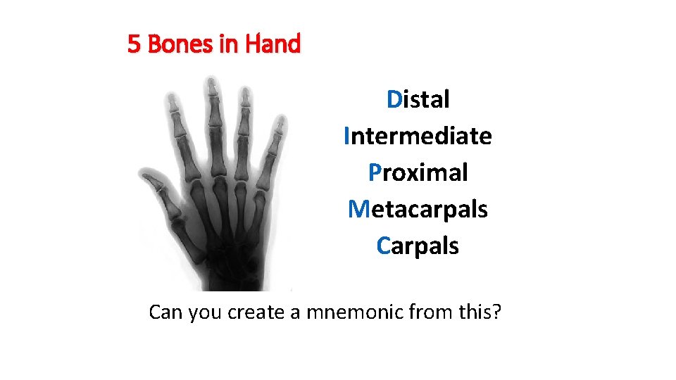 5 Bones in Hand Distal Intermediate Proximal Metacarpals Can you create a mnemonic from