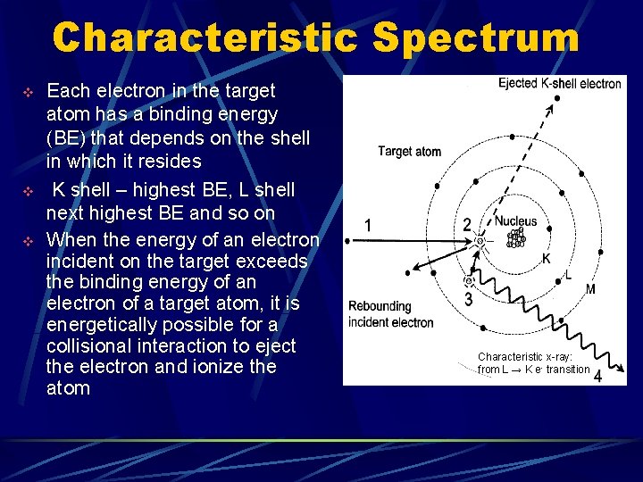 Characteristic Spectrum v v v Each electron in the target atom has a binding