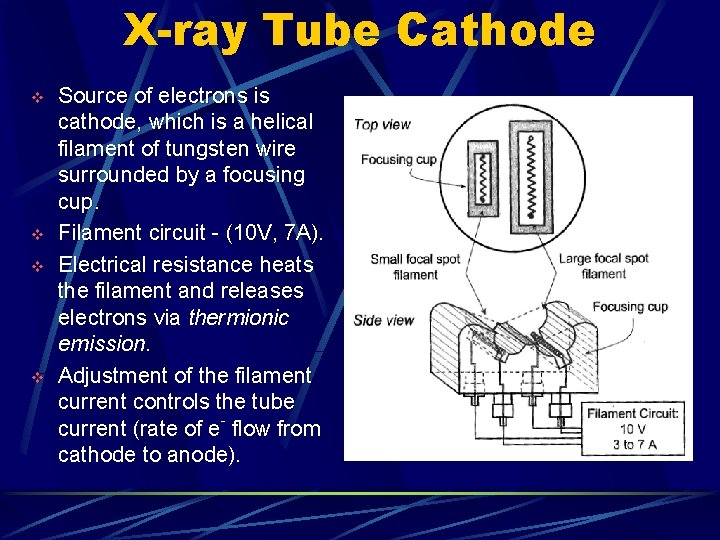 X-ray Tube Cathode v v Source of electrons is cathode, which is a helical